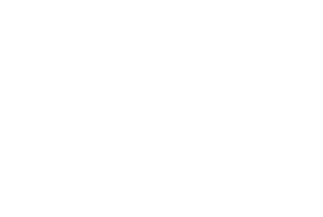 Vitaltech logo