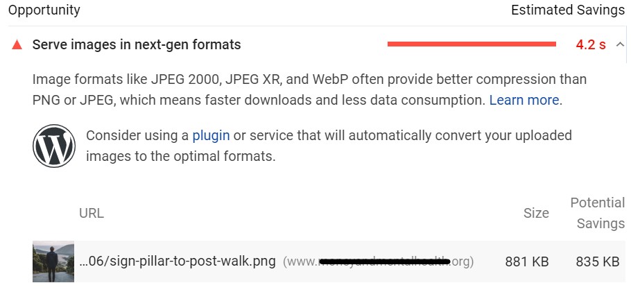 large image - Google page speed insights