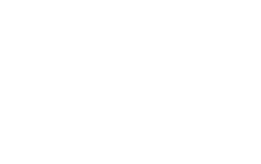 Vitaltech logo