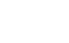 BSG logo