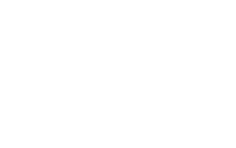 Vision foundation logo