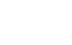 Birmingham vision logo