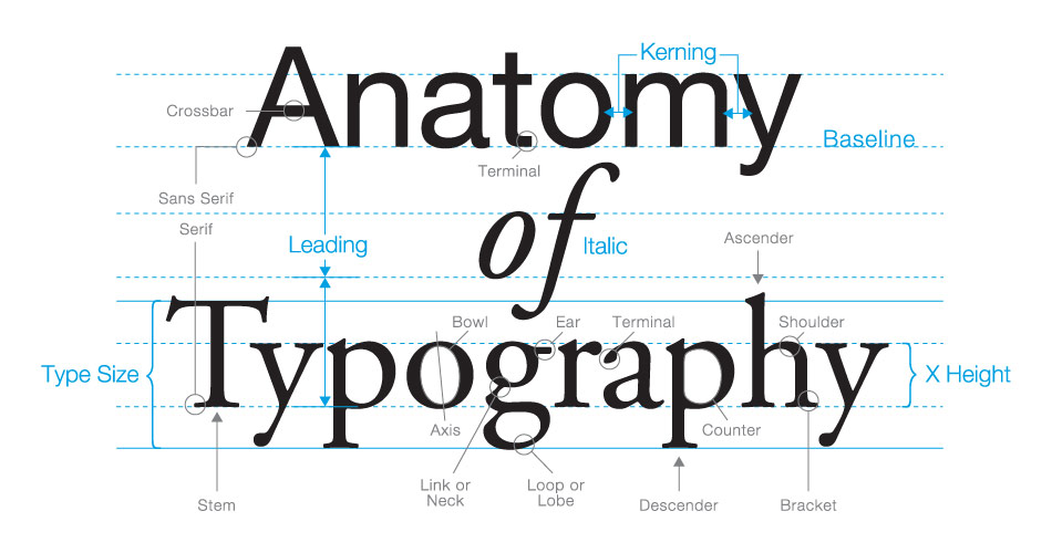 Anatomy of a typography graphic